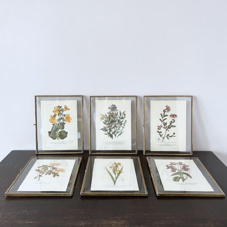 Collection of Floral Prints, Newly Framed