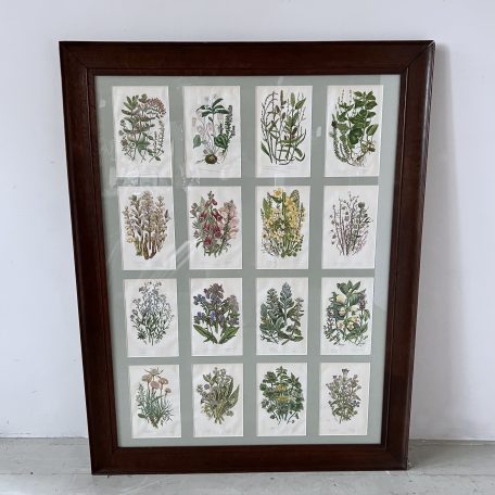 19th Century Floral Plates in Oak Frame