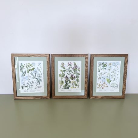 Floral Prints, Newly Framed