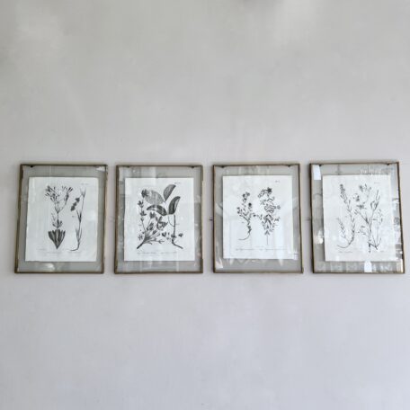 Set of Four Large Botanical Prints, Newly Framed