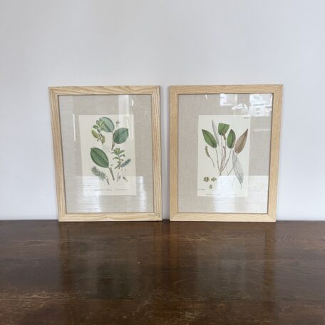 Framed Prints